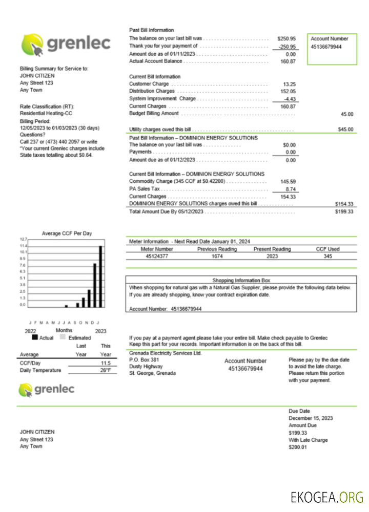 Grenada Electricity Services utility bill Word and PDF template